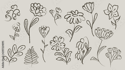 Tableau sur toile Vector set of hand drawn botanical illustrations featuring flowers, leaves, and ferns