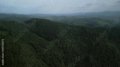 Flying over green forest at cloudy day with the mountains on horizon with glowing clouds. Carpathian mountains, Europe