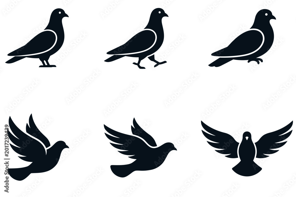 Fototapeta premium Black pigeon and dove silhouettes in various flight and ground poses