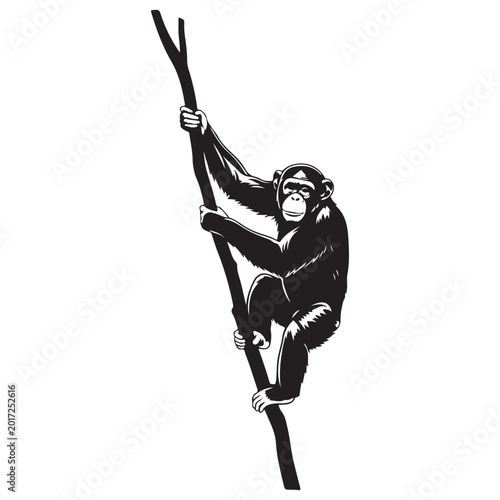 Photography Chimpanzee vector illustration climbing a tree branch