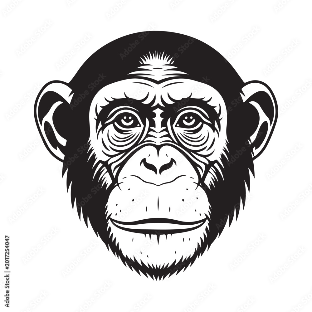 Fototapeta premium Chimpanzee head vector illustration. Representing primate intelligence, wildlife conservation, and animal mascot design