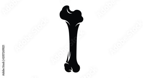 Foto Human femur bone silhouette illustration on white background anatomy study graph