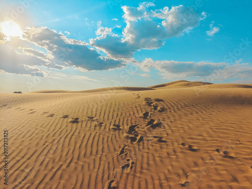 Tableau sur toile High dune in the desert in summer in Astrakhan.