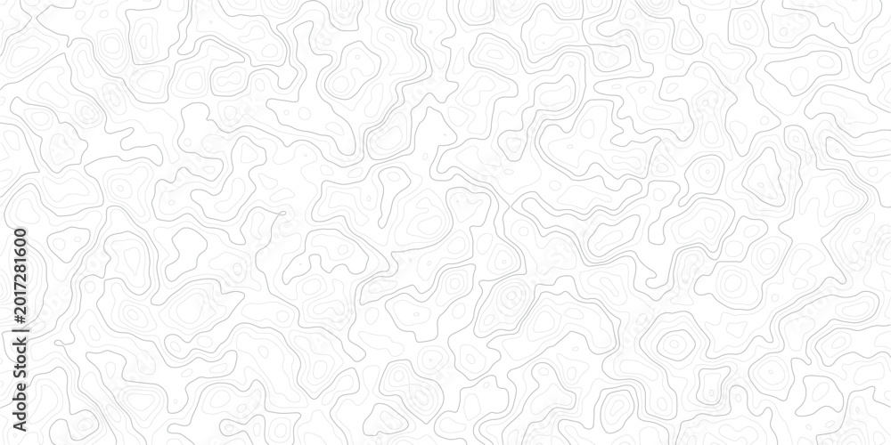 Obraz premium Gray abstract topographic map contour lines on white background pattern