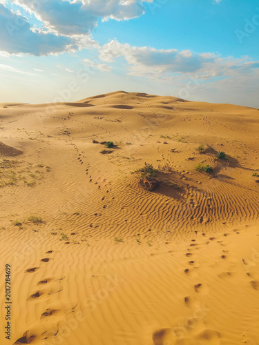 Slika na platnu High dune in the desert in summer in Astrakhan.
