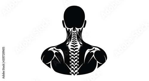 Quadro su tela Anatomy illustration black silhouette of muscular back spine and shoulder blades