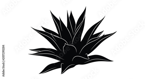 Photos Agave plant silhouette minimalist black botanical illustration for southwestern