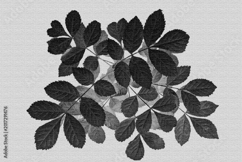 Leaf pattern fabric texture in black and white monochrome