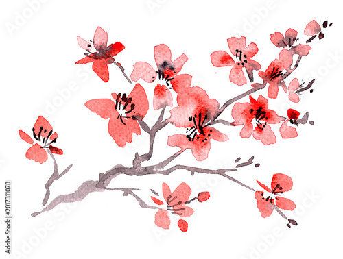 Red watercolor cherry blossom branch with delicate petals and dark ink details, inspired by traditional Asian painting. Minimal floral illustration isolated on white background.