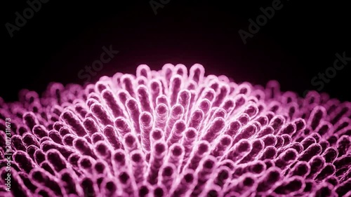 Abstract close up of glowing pink microscopic organisms or villi in a dark environment, science and biology background