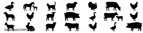 Fotografía Farm animal silhouettes collection, 21 livestock vector icons, black domestic an