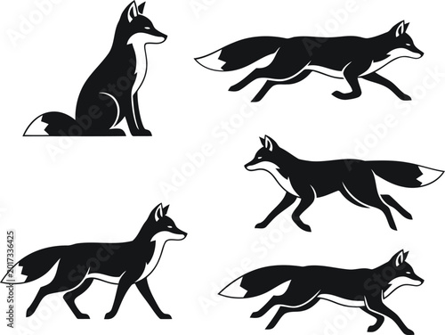 Cuadro en lienzo Fox in different running poses Vector