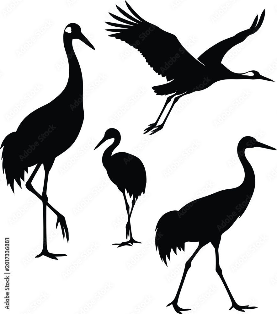 Fototapeta premium Four cranes in flight and standing Vector