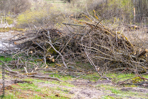 Foto Massive heap comprising discarded wooden branches twigs dry sticks brushwood rem