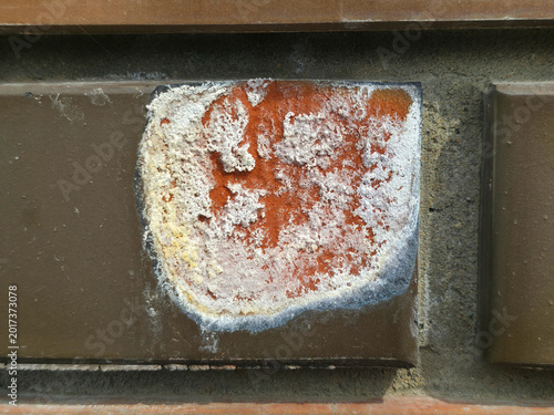 Canvas Print Efflorescence on a damaged brick surface