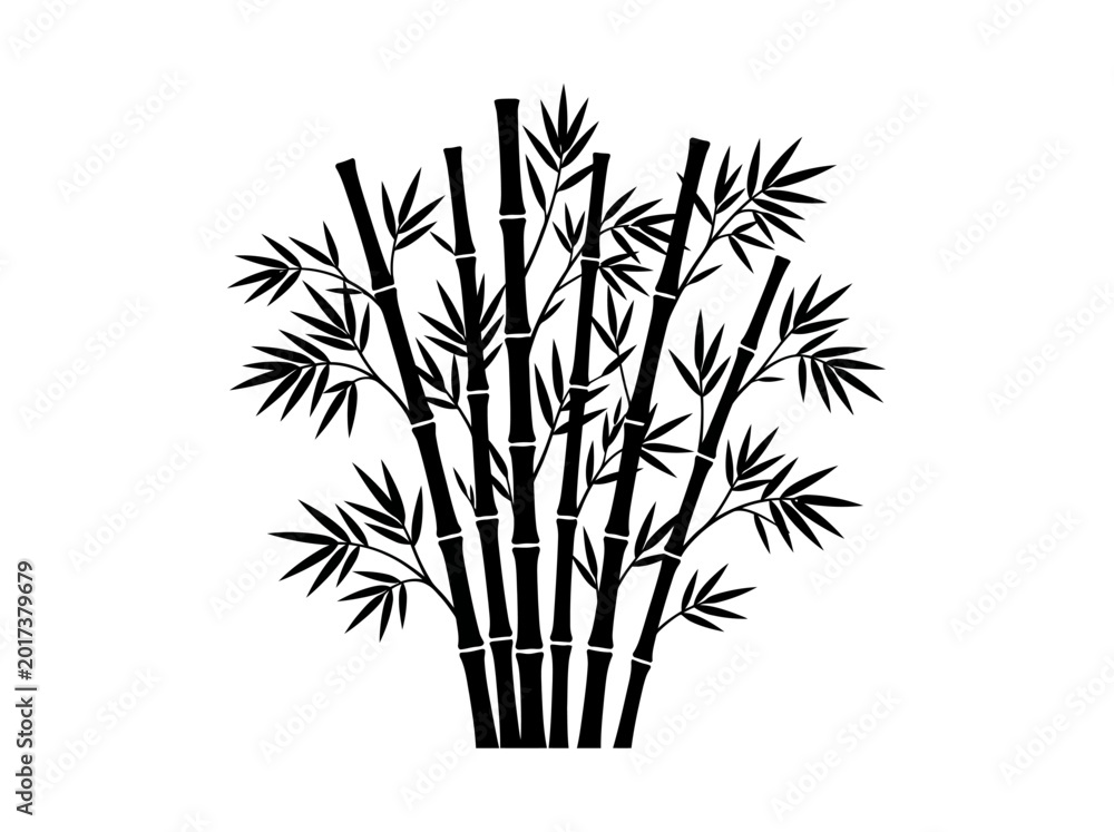 Obraz premium Bamboo stalks silhouette with leaves on a white background