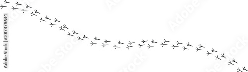 Obraz na plátně Bird footprint trail isolated on white background