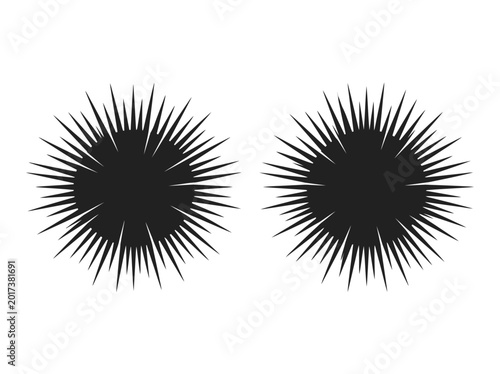 Φωτογραφία Sea urchin silhouettes two black urchins on white background