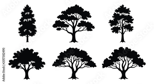 Bild auf Leinwand Tree silhouettes collection black shapes on white background