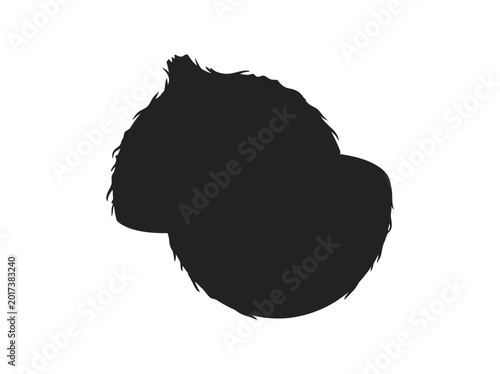 Photography Monkey silhouette on a white background animal profile view