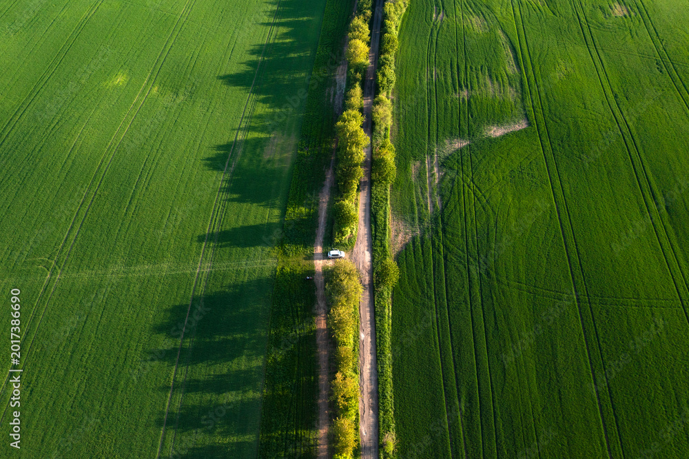 Fototapeta premium Aerial drone view of agriculture landscape in Moravia