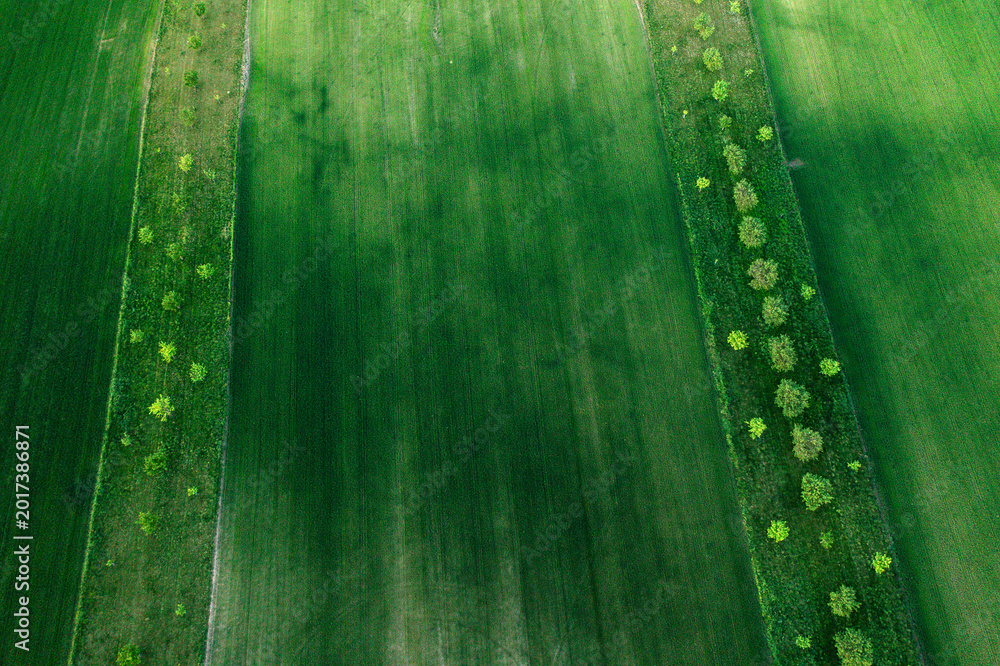 Fototapeta premium Aerial drone view of agriculture landscape in Moravia