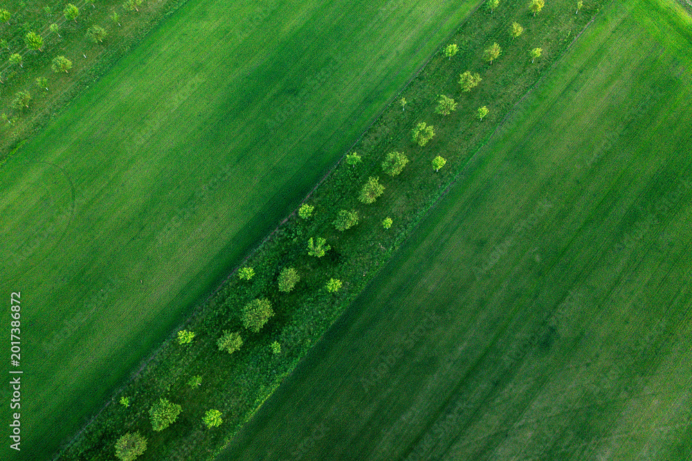 Fototapeta premium Aerial drone view of agriculture landscape in Moravia
