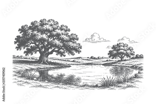 Beautiful meadow landscape vector illustration featuring a large spreading oak tree by a small pond in a classic hand drawn engraving style.