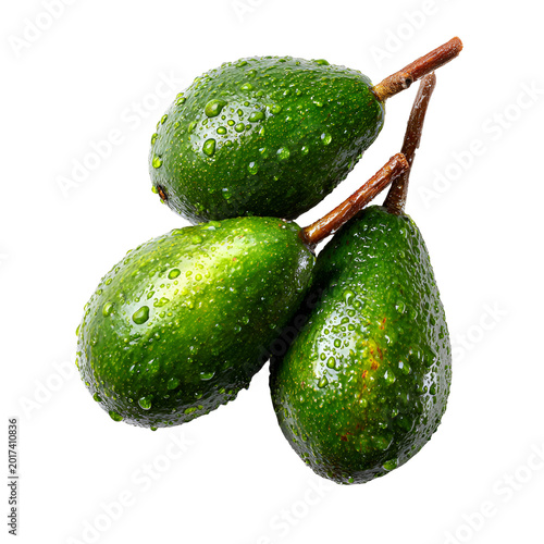 Long Neck Avocados Isolated on White Background