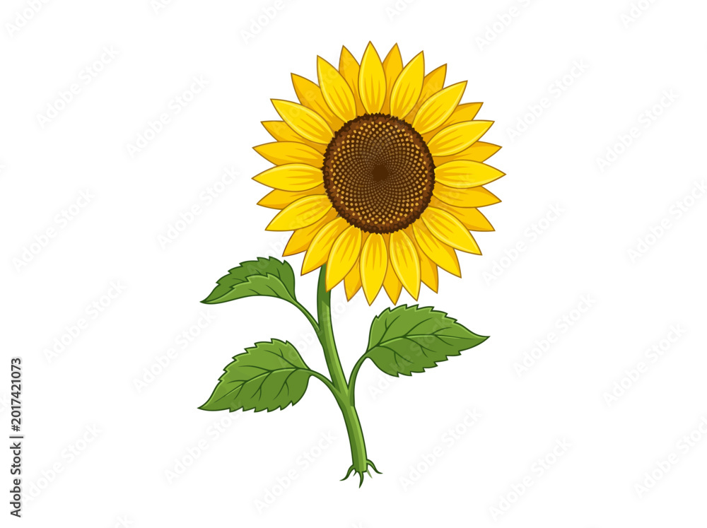 Fototapeta premium Sunflower illustration with green stem and leaves on white background