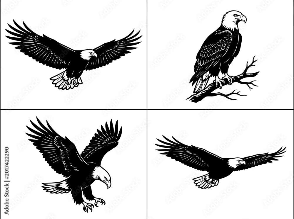 Fototapeta premium Four detailed black and white illustrations of bald eagles in various poses, including flying, perching, and swooping.