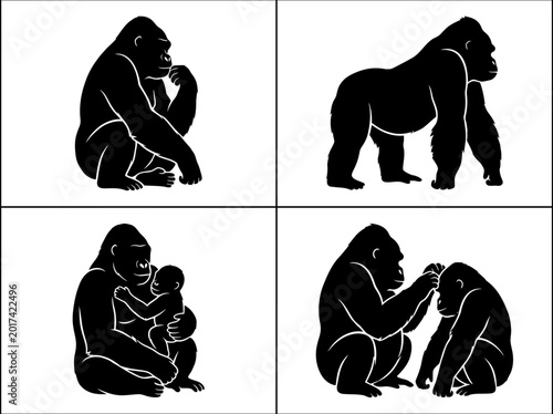 Four black silhouette illustrations depicting gorillas in various poses and interactions, including a mother with her baby and grooming.