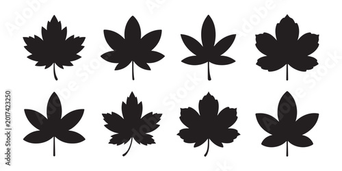 Fotografía Collection of various black maple leaf silhouettes on transparent background for fall designs