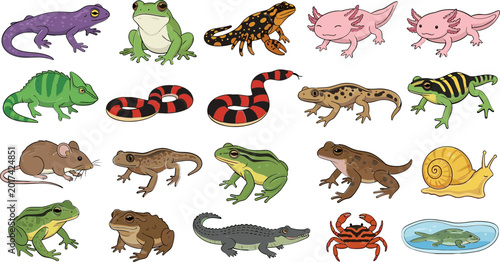 Cuadro en lienzo Amphibian and Reptile Animal Icon Set with Frogs, Salamanders, Snakes, and Snail