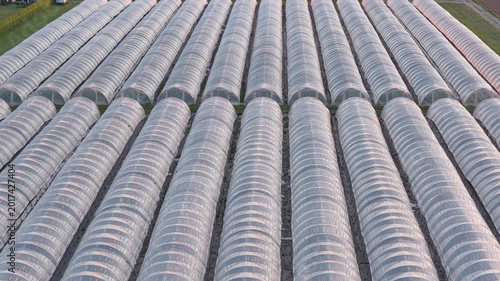Greenhouse (Polytunnel) in Germany to produce strawberrys