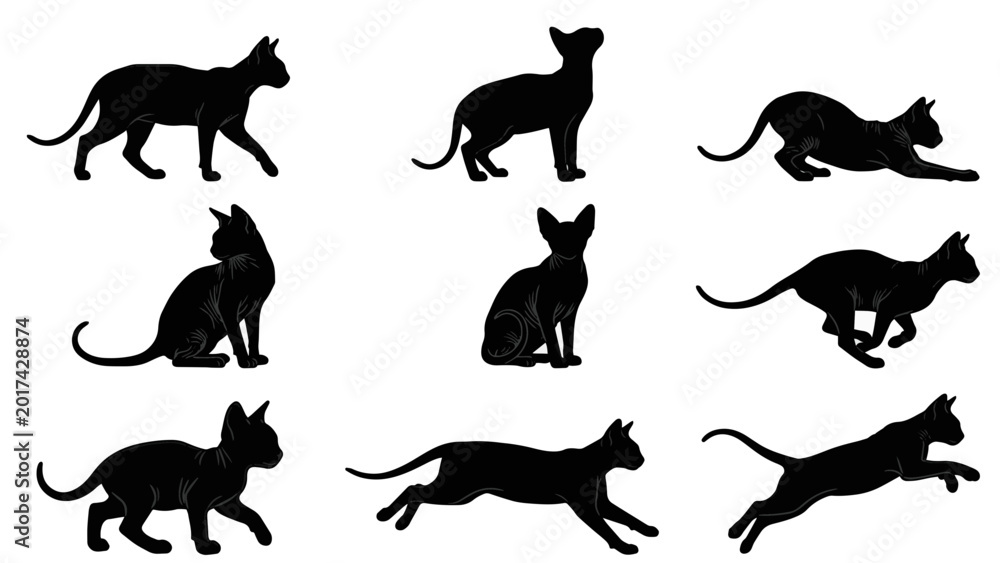 Obraz premium Sphynx Cat Silhouettes Collection: 9 Dynamic Poses, Running, Jumping, Sitting