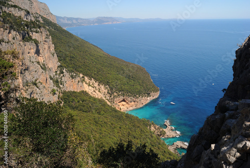 Veduta del bosco sopra Cala Biriala