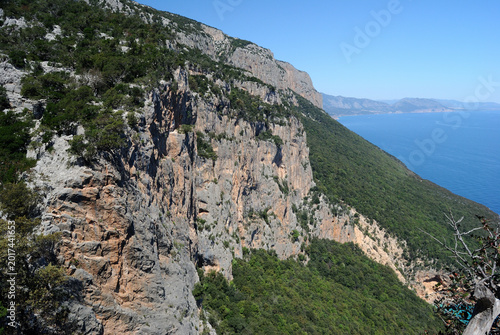 Veduta del bosco sopra Cala Biriala