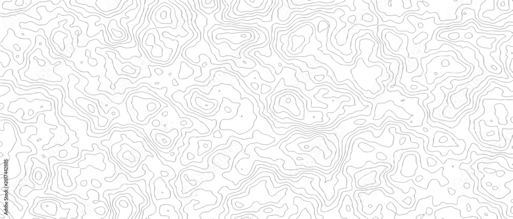 Obraz premium Abstract topographic map contour lines pattern on white background.