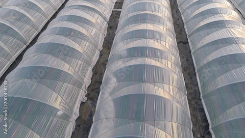 Greenhouse (Polytunnel) in Germany to produce strawberrys