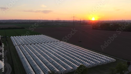 Greenhouse (Polytunnel) in Germany to produce strawberrys in the sunset