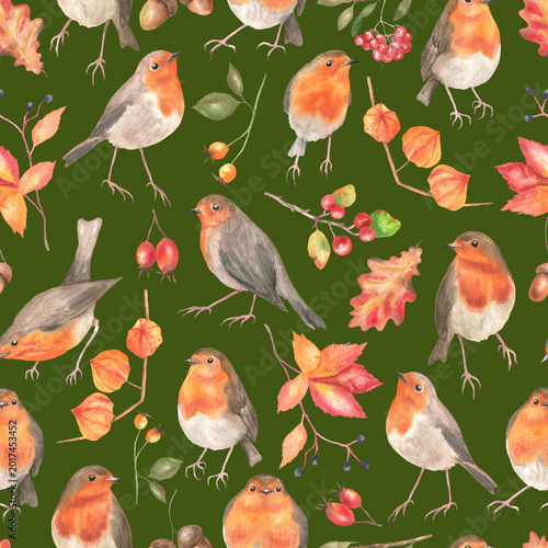 Seamless pattern of robin and autumn plants deep green