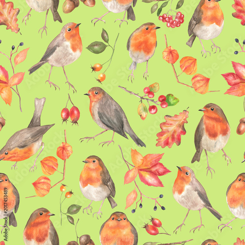 Seamless pattern of robin and autumn plants soft green
