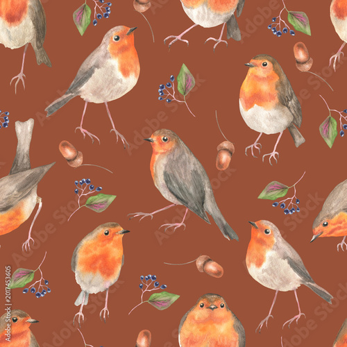 Seamless pattern of robin birds brown