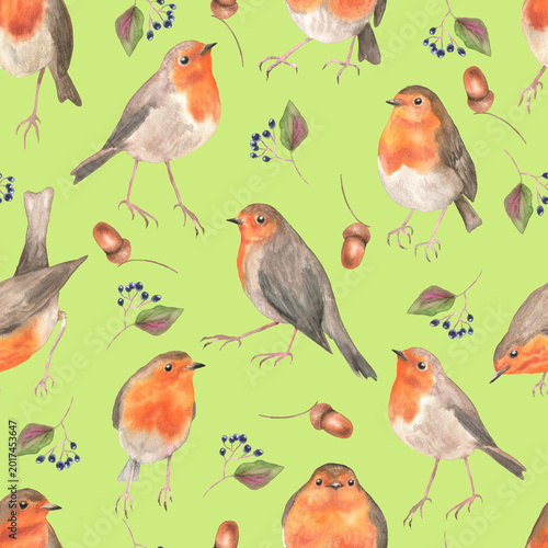 Seamless pattern of robin birds soft green