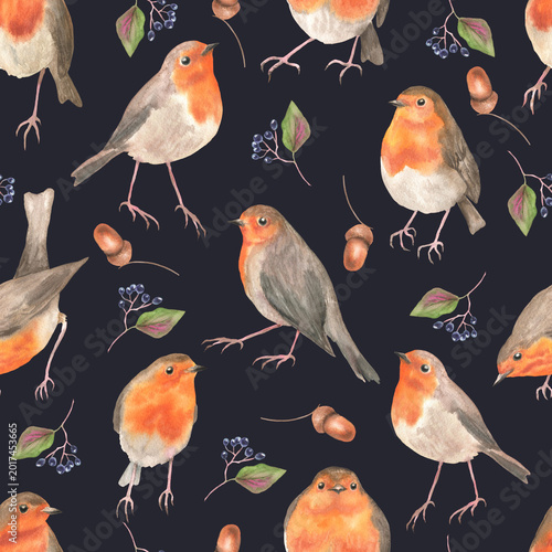 Seamless pattern of robin birds dark