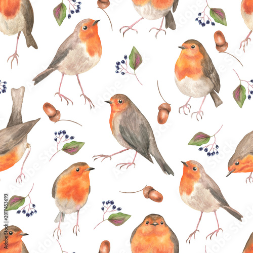 Seamless pattern of robin birds white