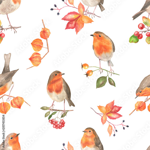Seamless pattern of robins on branches white