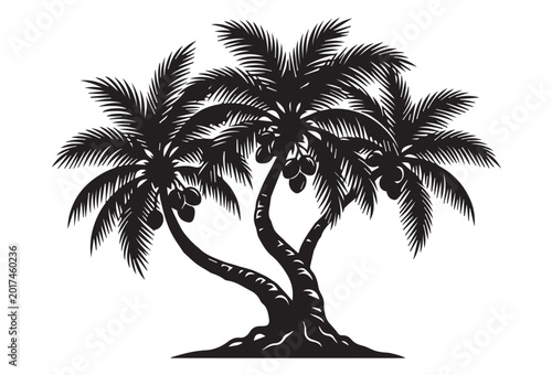 Schilderij op canvas Silhouette of Three Plam Tree, abundant branches and leaves on White Background,