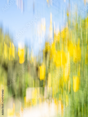 Abstract spring nature background with yellow flowers and blue sky motion blur